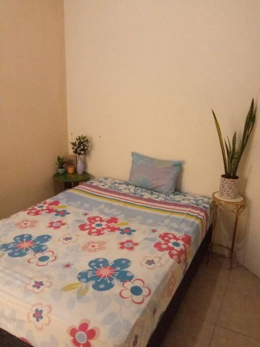 Apartamento La Casa Del Pinito Sonsonate Exterior foto