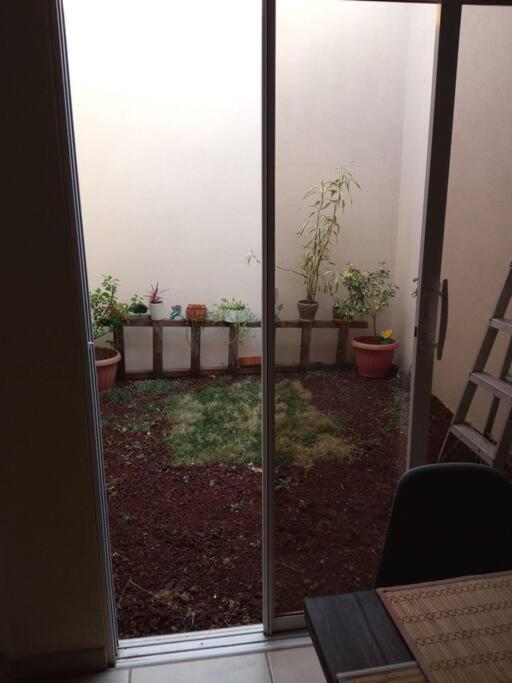 Apartamento La Casa Del Pinito Sonsonate Exterior foto